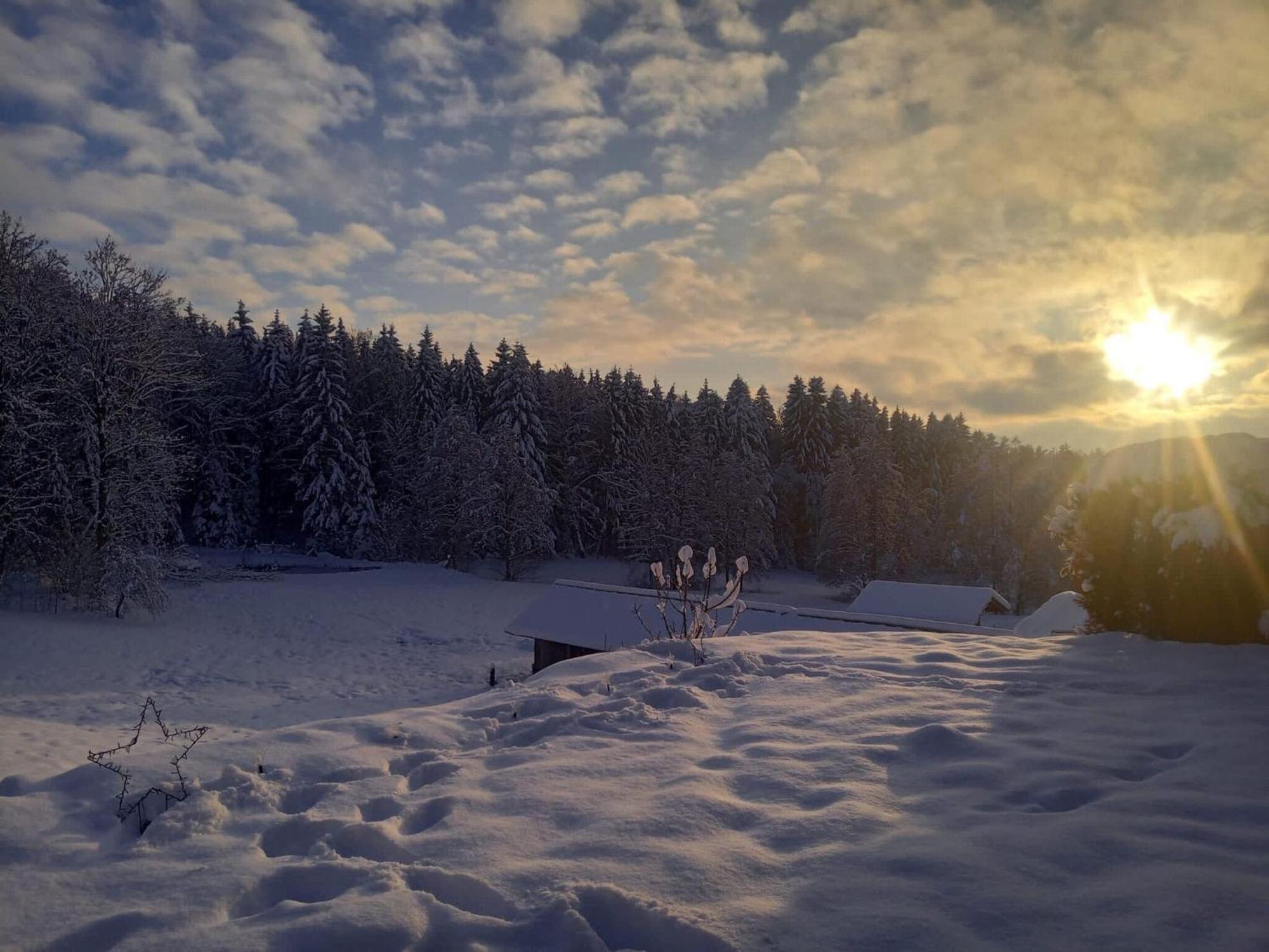 Ferienwohnung Im Bayerischen Wald Mit Terrasse Viechtach Luaran gambar