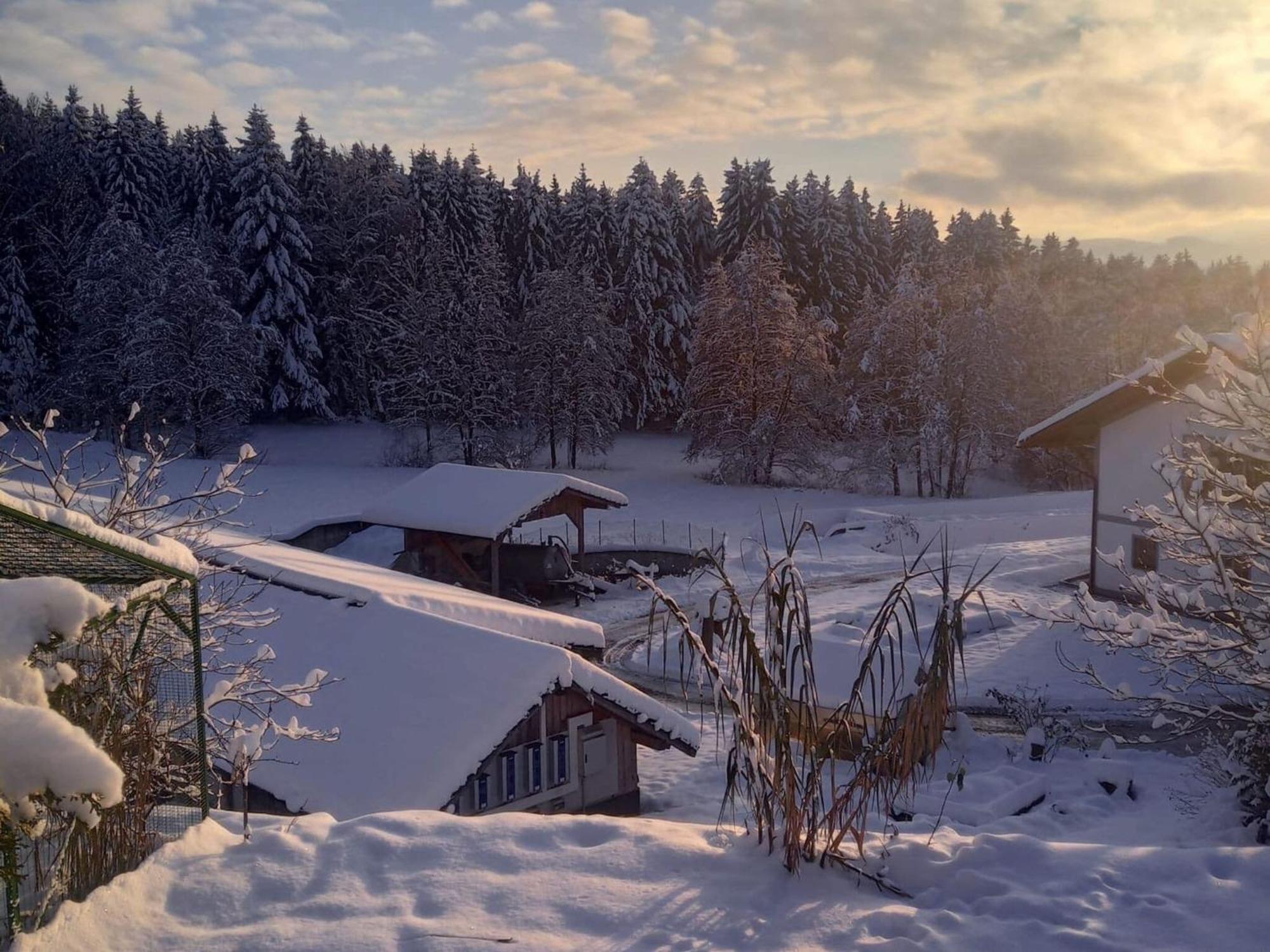 Ferienwohnung Im Bayerischen Wald Mit Terrasse Viechtach Luaran gambar
